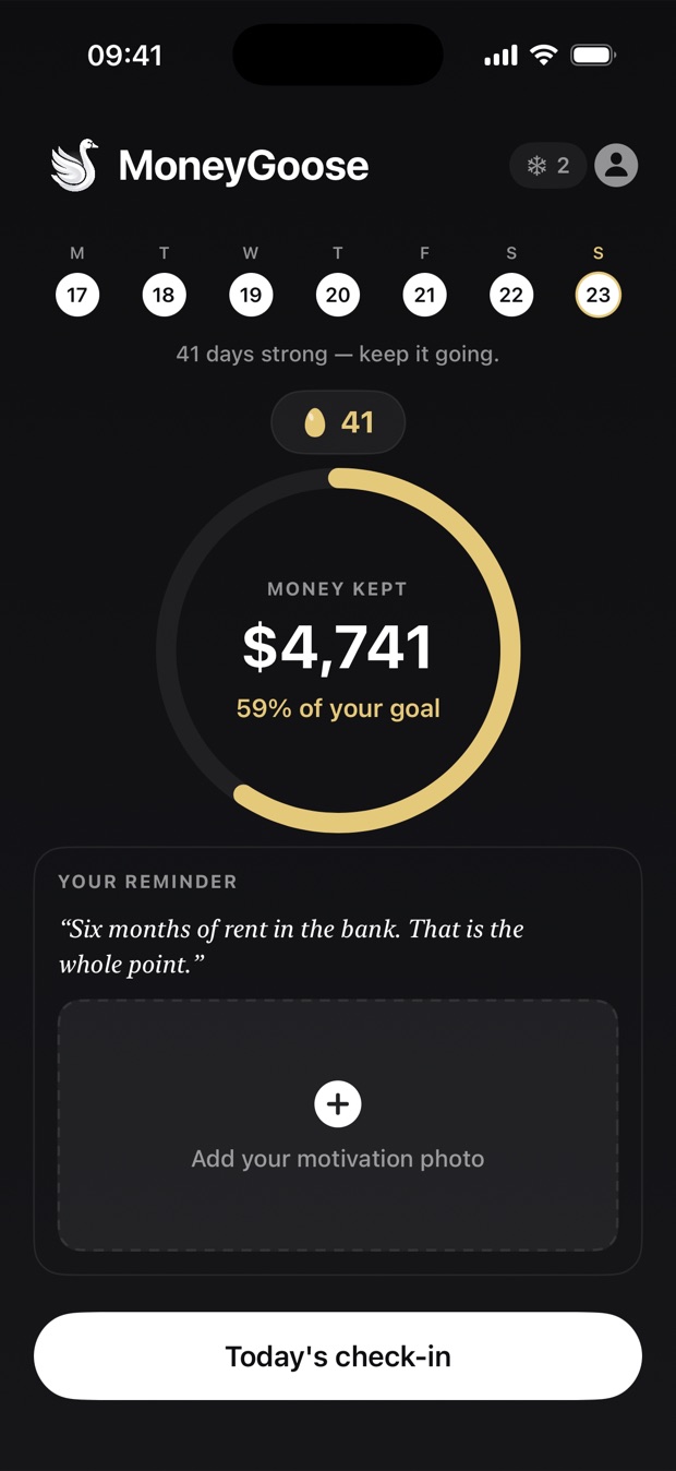 The MoneyGoose home screen
